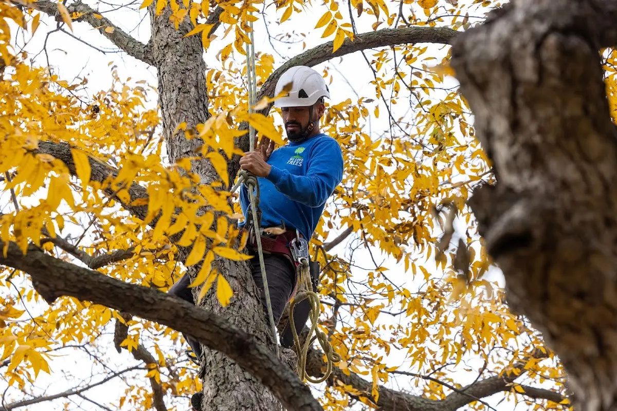 Skilled Storm Damage Cleanup crew working in Pleasanton